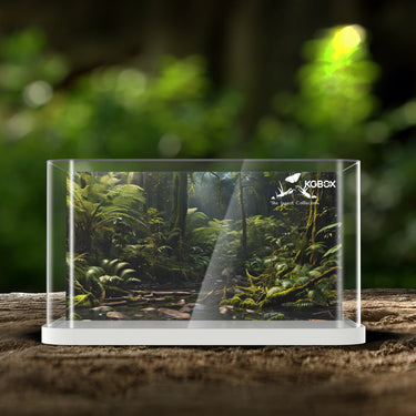 Lego 21342 The Insect Collection Display Case